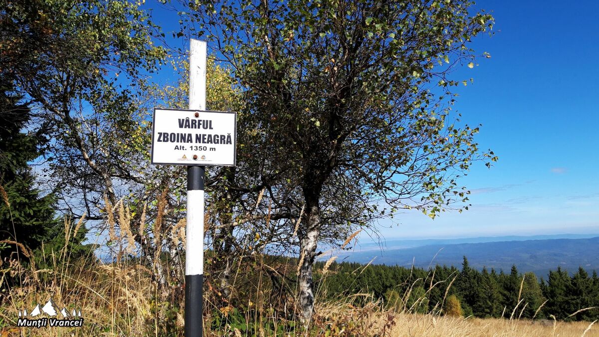 Traseu nr.15  Soveja-Șezătoarea Lupilor-Cabana Forestieră Zboina Neagră-Vârful Zboina Neagră